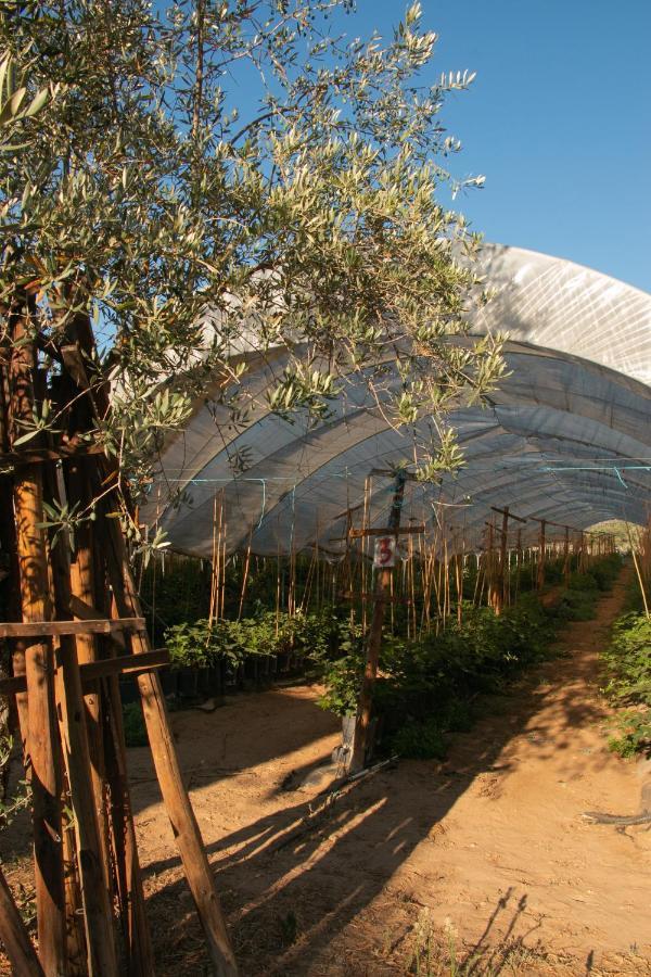 Quinta De Santana Da Varzea Abrantes Exterior photo
