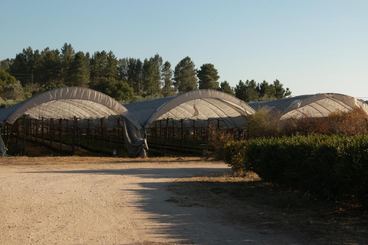 Quinta De Santana Da Varzea Abrantes Exterior photo