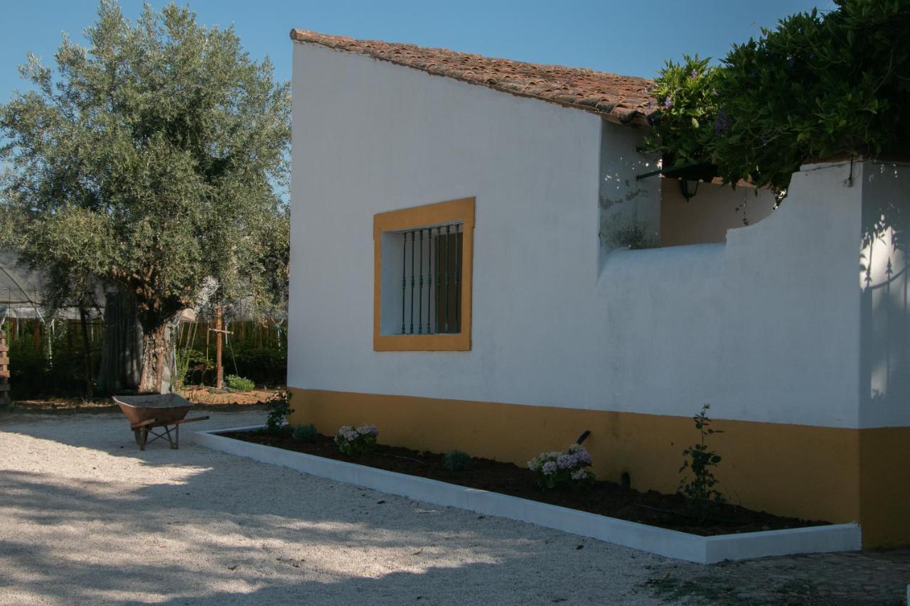 Quinta De Santana Da Varzea Abrantes Exterior photo